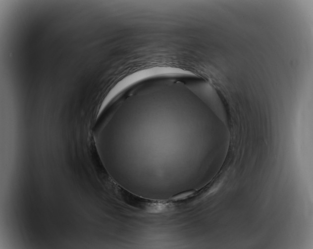 X0000088470432200705291552