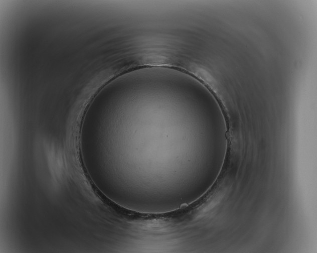 X0000088470433200705291551