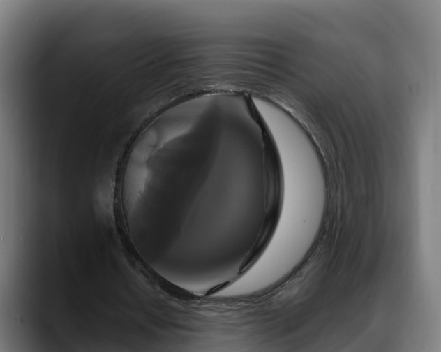 X0000088470434200705291551