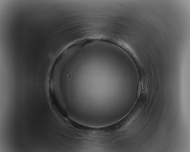 X0000088470436200705291551