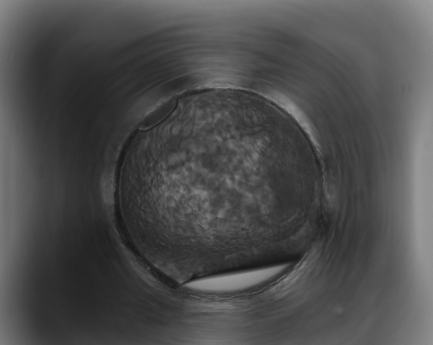 X0000088470437200705291551