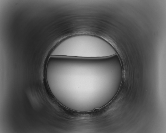 X0000088470438200705291551