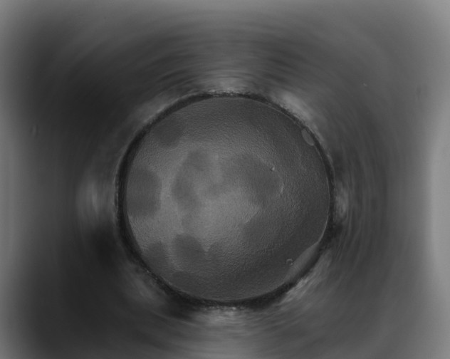 X0000088470439200705291552