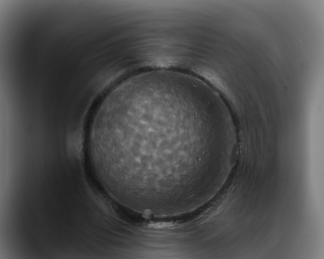 X0000088470440200705291552