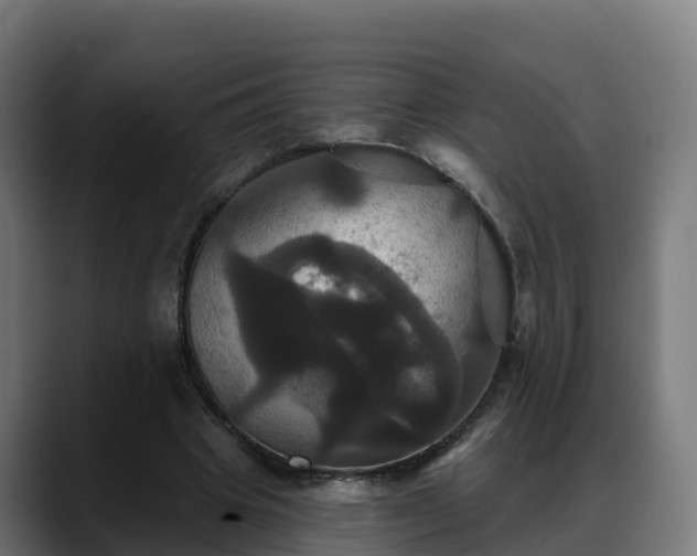 X0000088470441200705291552