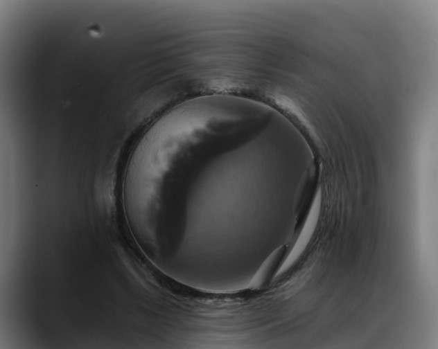 X0000088470443200705291552