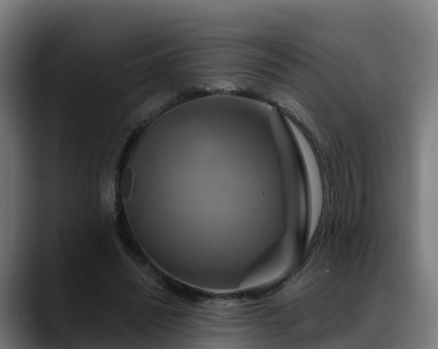 X0000088470444200705291552