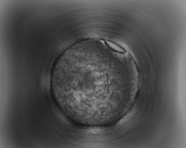 X0000088470445200705291552