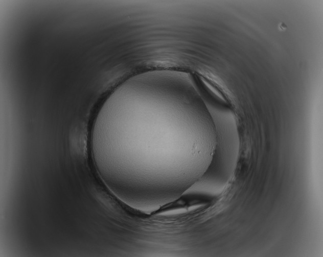 X0000088470446200705291552