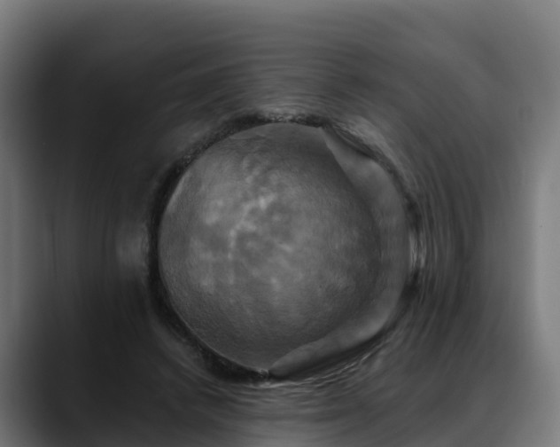 X0000088470448200705291552