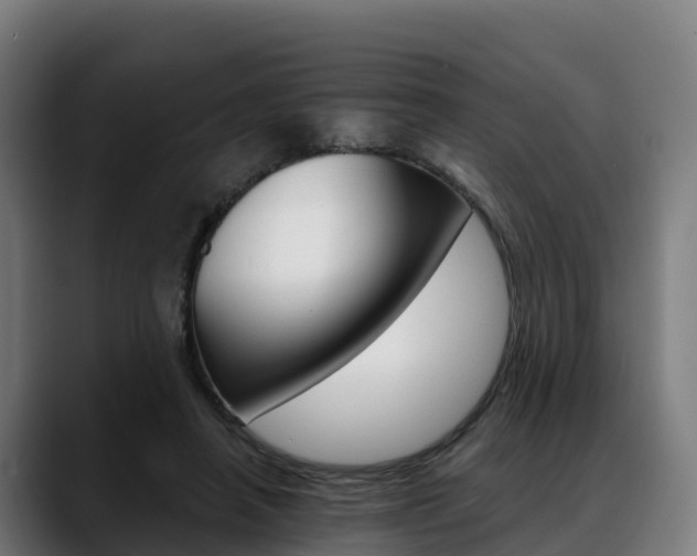 X0000088470450200705291552