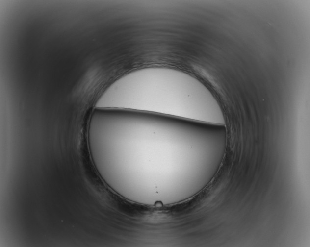 X0000088470451200705291552