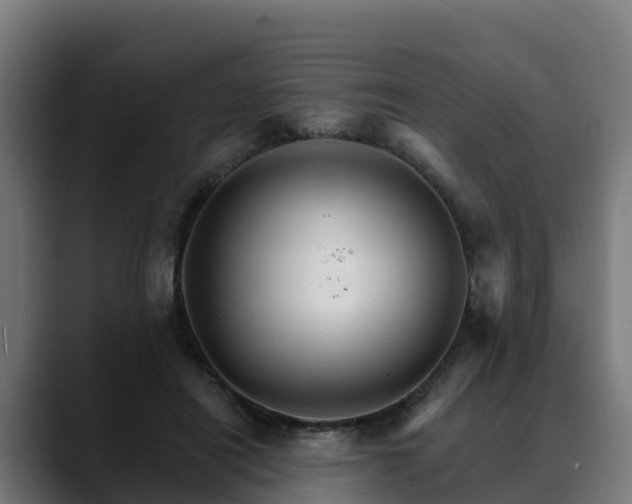 X0000088470454200705291552