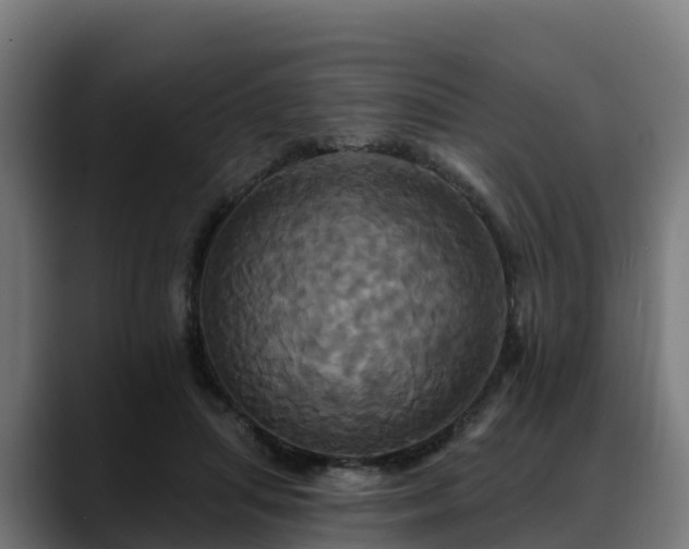 X0000088470455200705291552