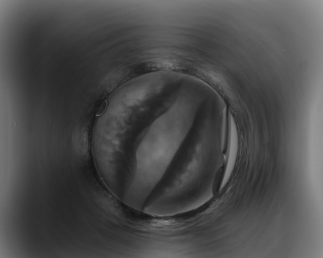 X0000088470457200705291552