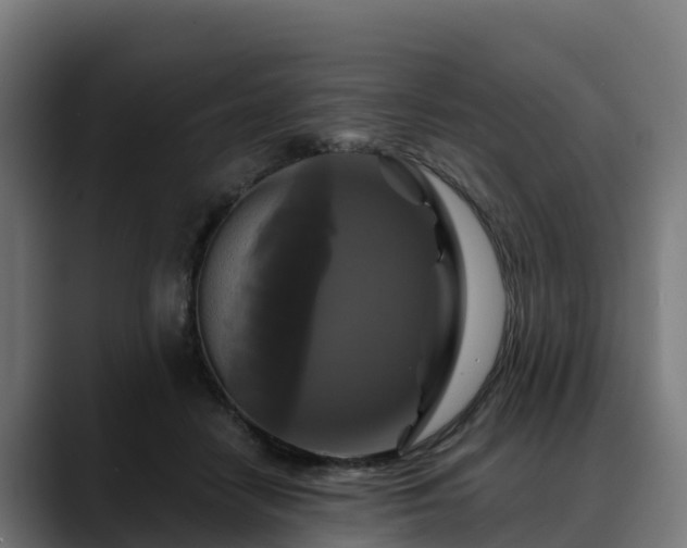 X0000088470458200705291552