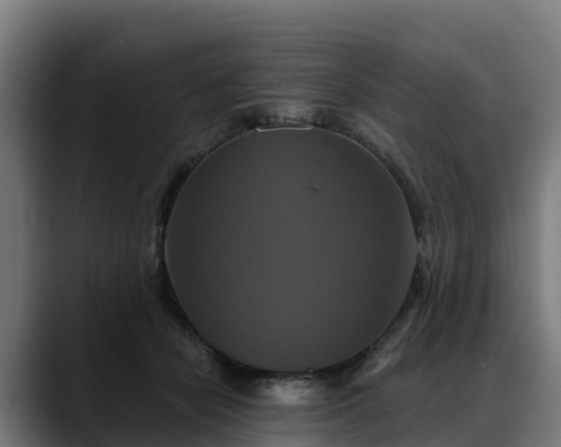 X0000088470462200705291552