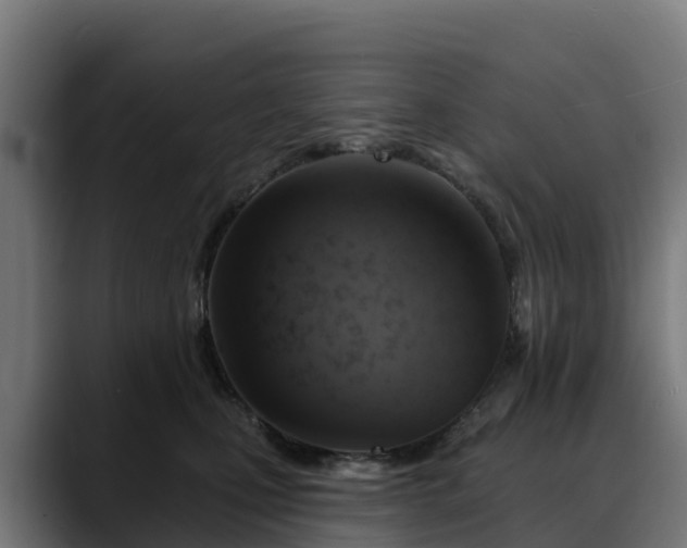 X0000088470471200705291552