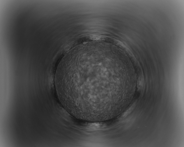 X0000088470473200705291552