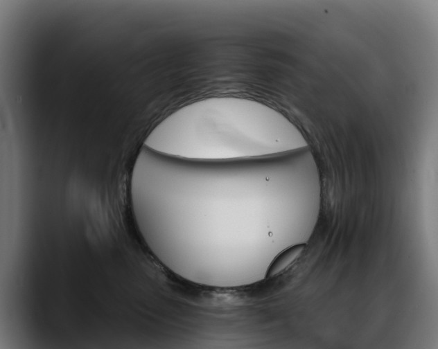 X0000088470475200705291552