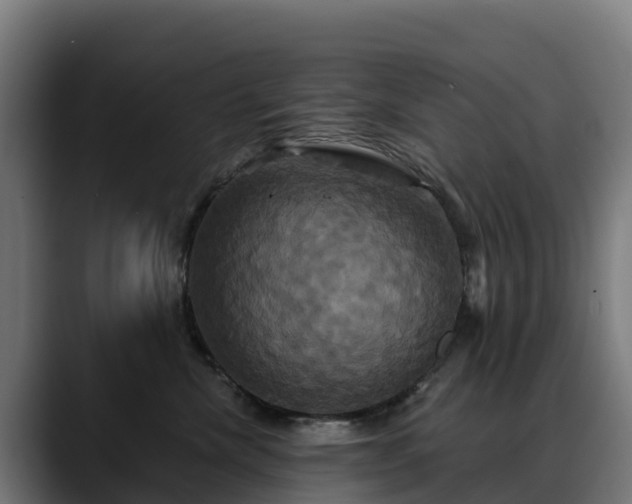 X0000088470476200705291552