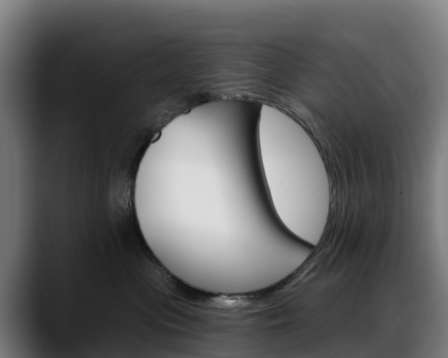 X0000088470477200705291552