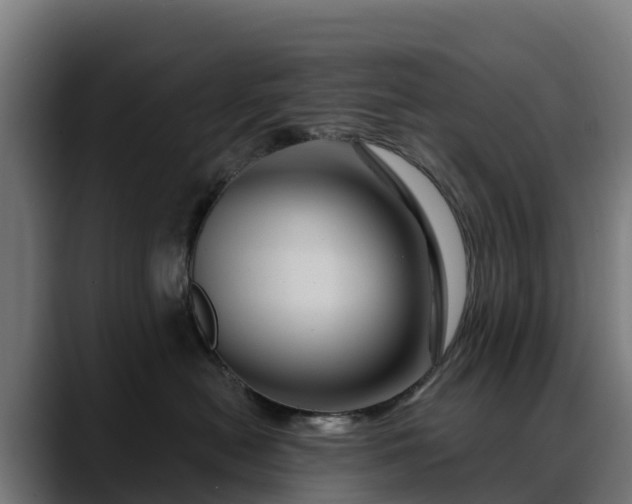 X0000088470478200705291552