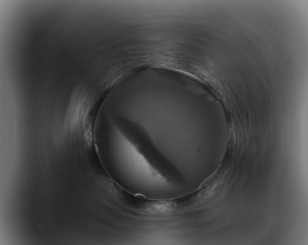 X0000088470479200705291552