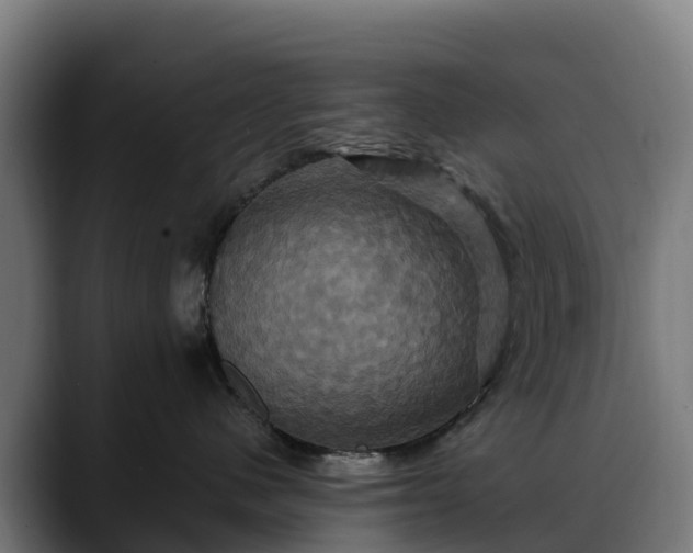 X0000088470480200705291552