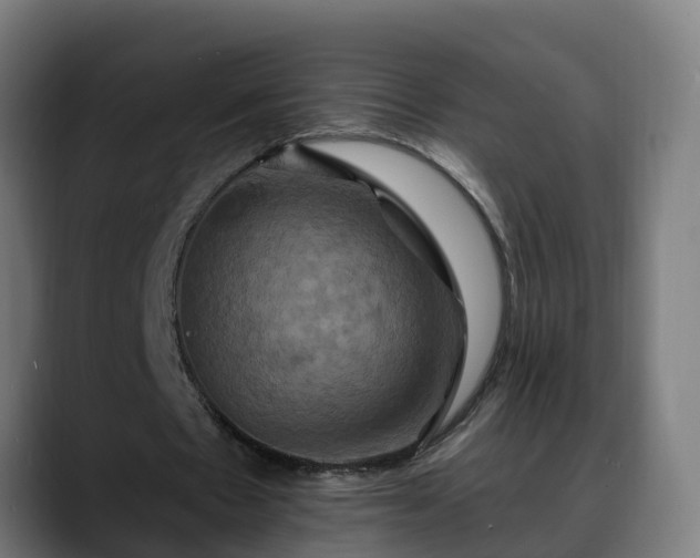 X0000088470481200705291551