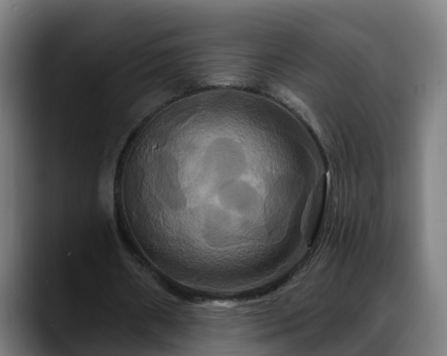 X0000088470482200705291551