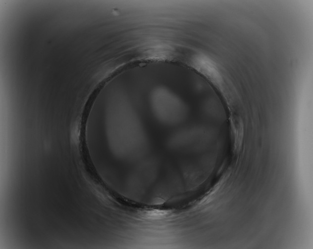 X0000088470483200705291551