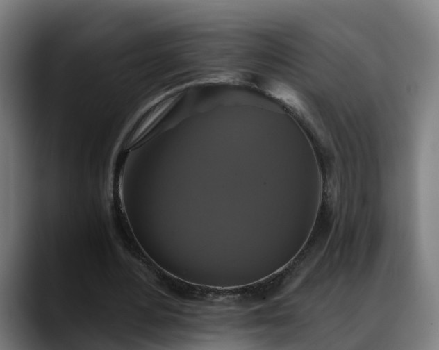 X0000088470484200705291551