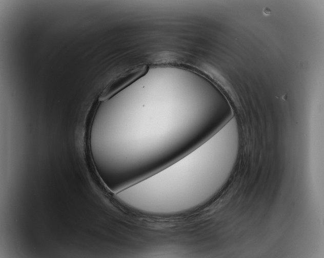 X0000088470485200705291551