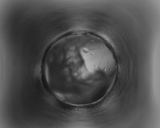 X0000088470487200705291551