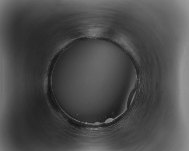 X0000088470488200705291551