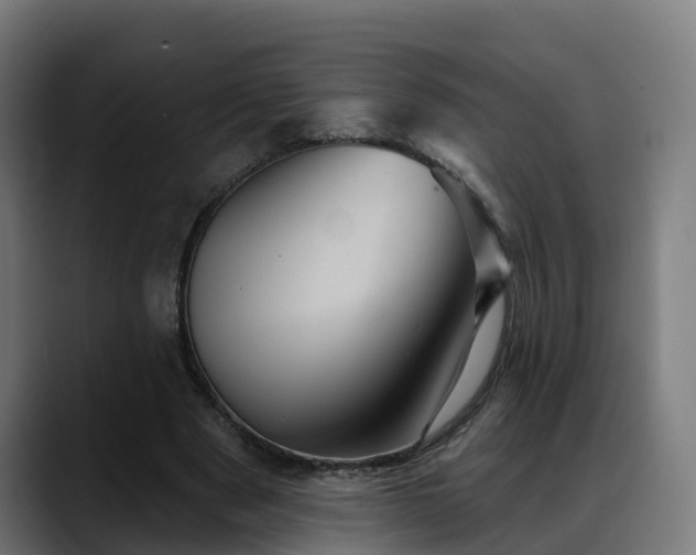 X0000088470489200705291551