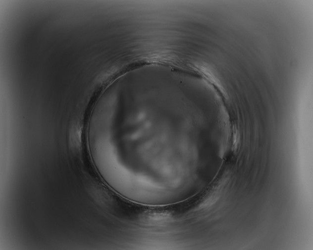 X0000088470491200705291551