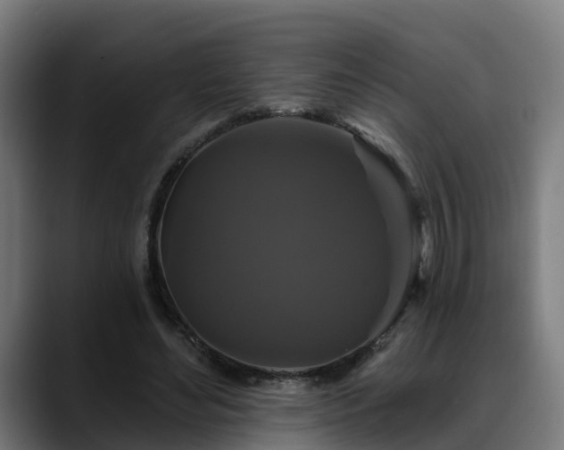 X0000088470492200705291551