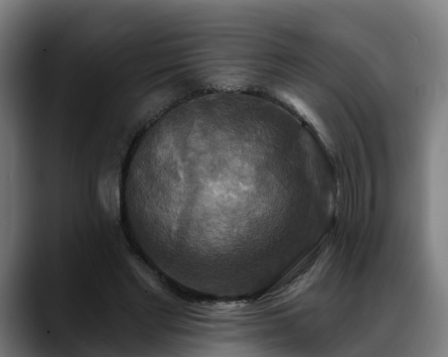 X0000088470493200705291551