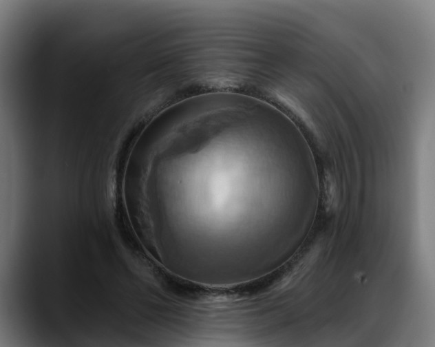 X0000088470494200705291551