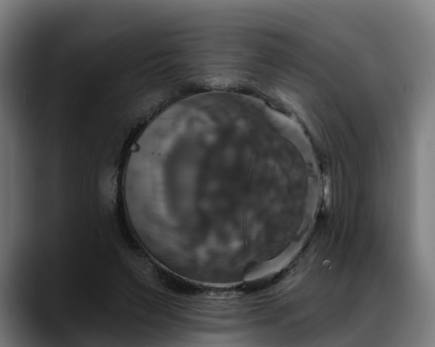 X0000088470495200705291551