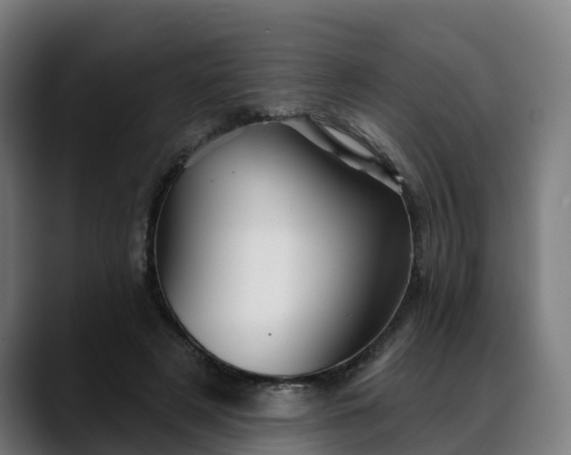 X0000088470497200705291551