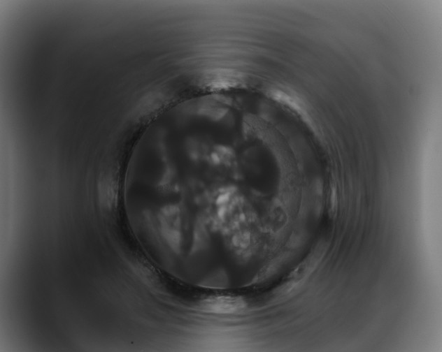 X0000088470499200705291551