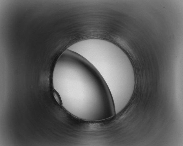 X0000088470501200705291551