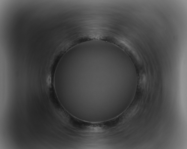 X0000088470502200705291551