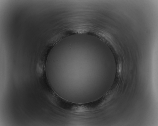 X0000088470503200705291551