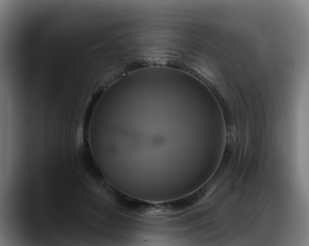 X0000088470504200705291551