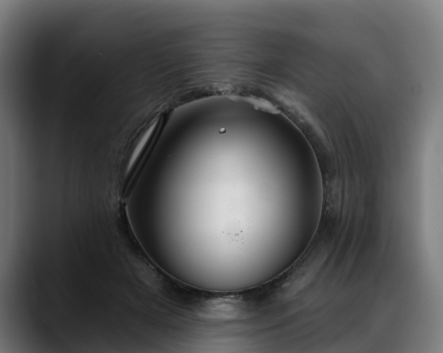 X0000088470505200705291551