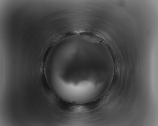 X0000088470507200705291551